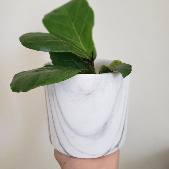 Marble pattern planter/pot - Picture 2 of 8